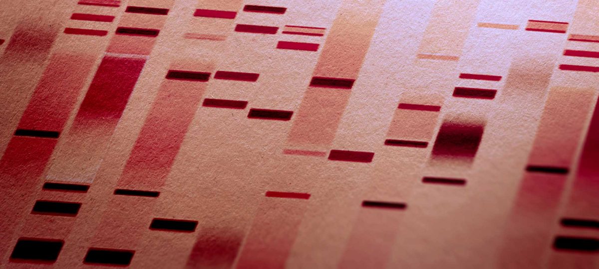 ecpc eucancan banner