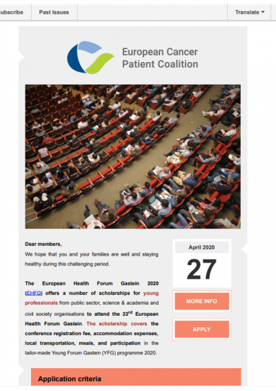 EHFG Call For YFG Programme – Scholarship newsletter preview