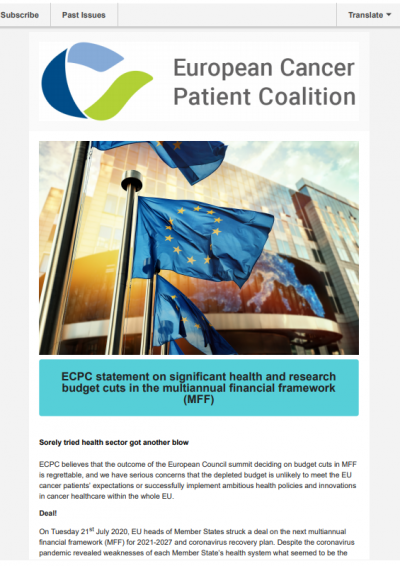 Multiannual Financial Framework (MFF) newsletter preview