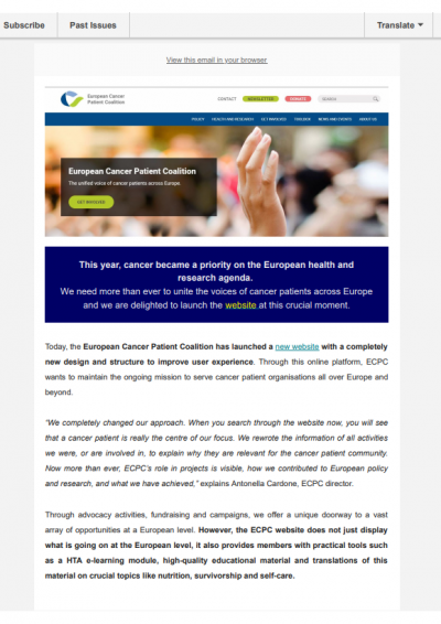 New website launched newsletter preview