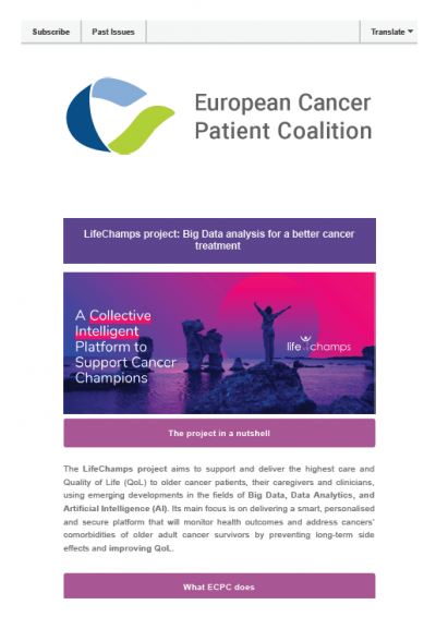 LifeChamps Project newsletter preview